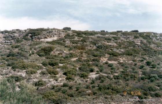 Rivas Vaciamadrid - Tiermes - Ambite: Neógeno