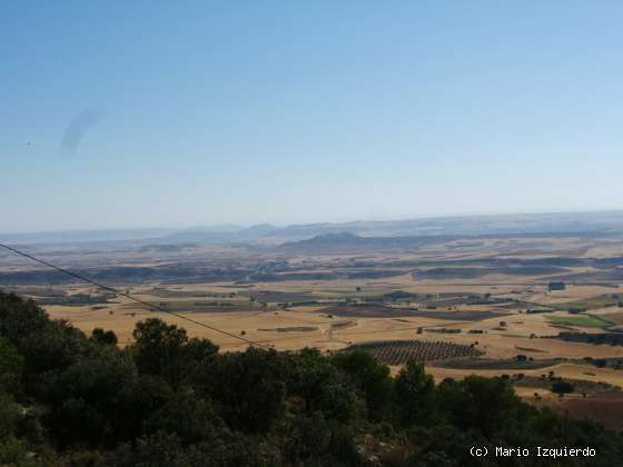 Sierra de Altomira: Cretácico