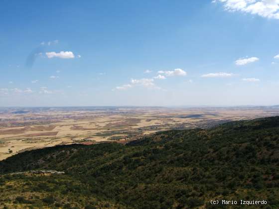 Sierra de Altomira: Cretácico