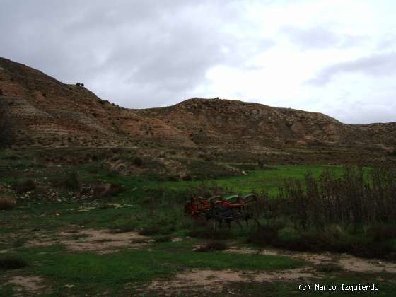 Chillarón - Sacedoncillo - Torralba: Neógeno