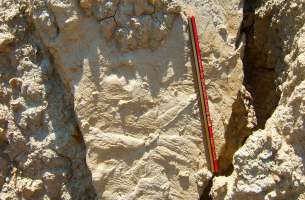 Alcorlo - Prádena de Atienza- Atienza: Precámbrico - Cretácico