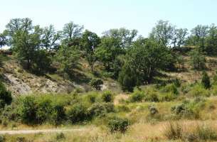 Almiruete - Palancares - Valverde de los Arroyos