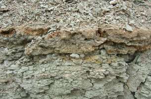 Pozo de Almoguera - Yebra - Almoguera: Silicificaciones y Yesos