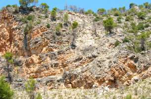Sierra de Altomira: Cretácico