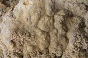 Brihuega: Tobas calcáreas