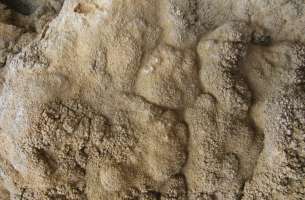 Brihuega: Tobas calcáreas