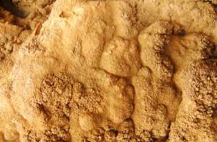 Brihuega: Tobas calcáreas