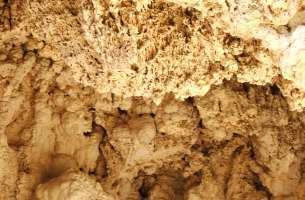 Brihuega: Tobas calcáreas