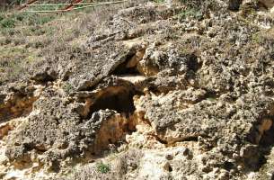 Brihuega: Tobas calcáreas