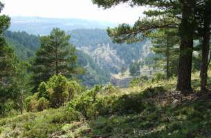 Cañon de la Hoz Seca