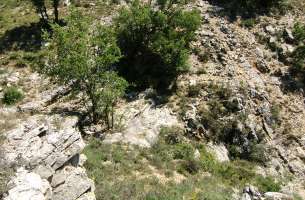 Cortes de Tajuña: Pliegue asimétrico