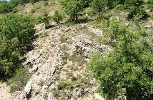 Cortes de Tajuña: Formación Cortes de Tajuña