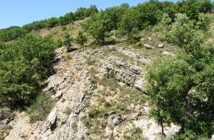 Cortes de Tajuña: Charnela de Pliegue