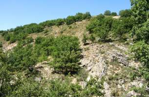 Cortes de Tajuña: Formación Cortes de Tajuña