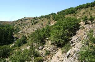 Cortes de Tajuña: Formación Cortes de Tajuña