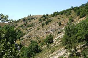 Cortes de Tajuña: Formación Cortes de Tajuña