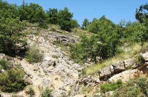 Cortes de Tajuña: Formación Cortes de Tajuña