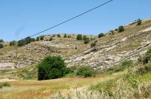 Cortes de Tajuña: Formación Cortes de Tajuña