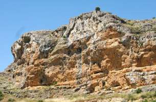 Cortes de Tajuña: Formación Cortes de Tajuña