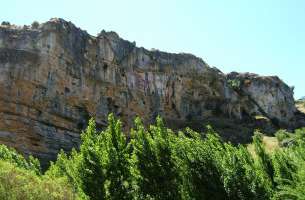 Cortes de Tajuña: Formación Cortes de Tajuña