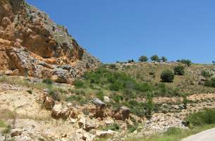 Cortes de Tajuña: Formación Cortes de Tajuña