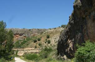 Cortes de Tajuña: Formación Cortes de Tajuña