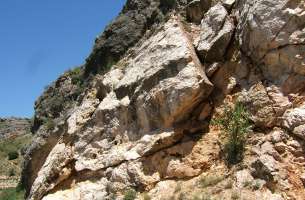 Cortes de Tajuña: Formación Cortes de Tajuña