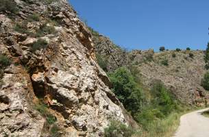 Cortes de Tajuña: Formación Cortes de Tajuña