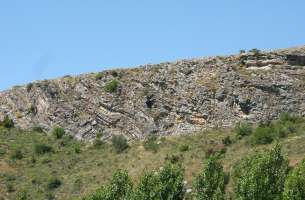 Cortes de Tajuña: Formación Cortes de Tajuña