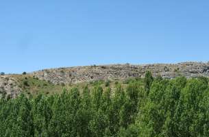 Cortes de Tajuña: Formación Cortes de Tajuña