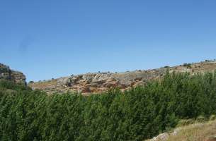 Cortes de Tajuña: Formación Cortes de Tajuña