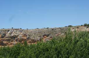 Cortes de Tajuña: Formación Cortes de Tajuña