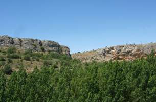 Cortes de Tajuña: Formación Cortes de Tajuña