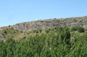 Cortes de Tajuña: Formación Cortes de Tajuña