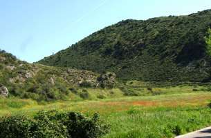 Durón - Viana - Pareja: Discordancia angular