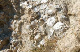 Fuencemillán: Yeso alabastrino