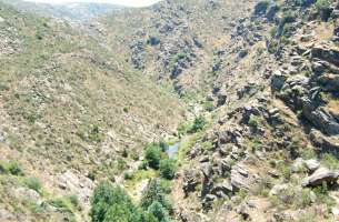 Gascueña: Cámbrico - Ordovícico