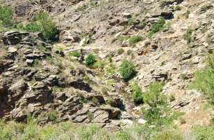 Gascueña: Cámbrico - Ordovícico