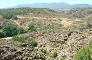 Gascueña: Cámbrico - Ordovícico