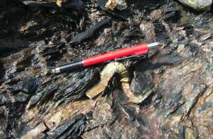 La Miñosa: Micropliegue