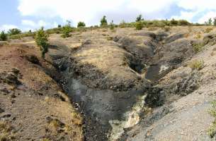 La Miñosa: Pizarras ampelíticas del Silúrico