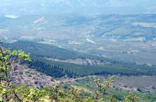 Majaelrayo: Sinclinal (Hercínico) - Paleozoico