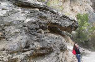 Ocentejo (II): Cabalgamiento