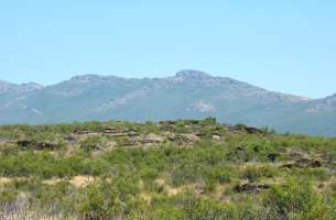 Pradena de Atienza: Ordovícico