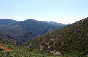 Pradena de Atienza: Ordovícico