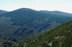 Pradena de Atienza: Ordovícico