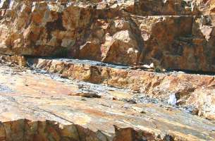 Pradena de Atienza: Ordovícico