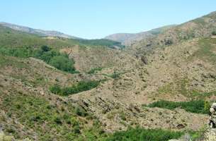 Pradena de Atienza: Ordovícico