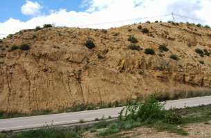 Sayatón: Cretacico superior-Terciario: Facies Garum