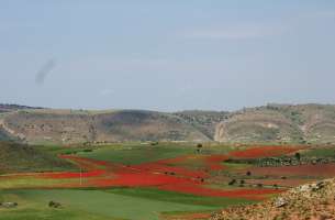 Valdelcubo: Triásico